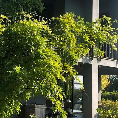 住宿加早餐酒店 彭托蒂维斯塔住宿加早餐旅馆 齐耶利