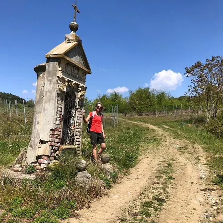 Puntodivista Bed & Breakfast 4*