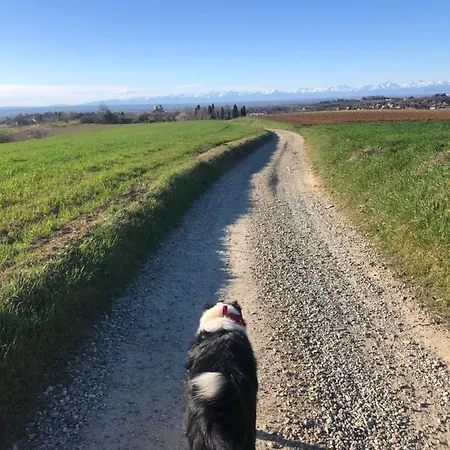 Puntodivista 4* Chieri