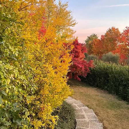 住宿加早餐酒店 彭托蒂维斯塔住宿加早餐旅馆 4*