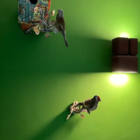 Puntodivista 4*