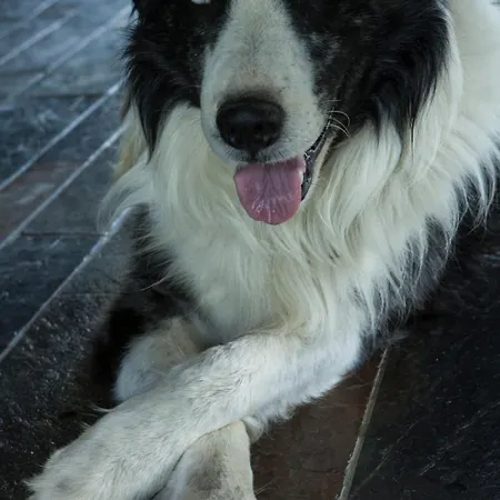 Bed & Breakfast Puntodivista 4*