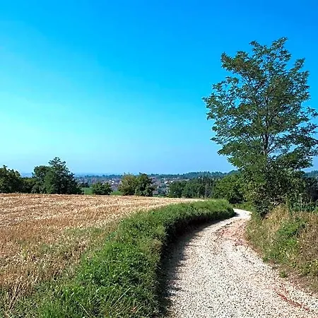 Puntodivista 4*