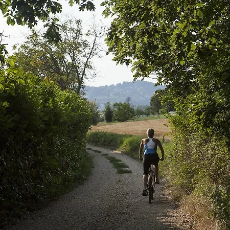 Bed & Breakfast Puntodivista 4*