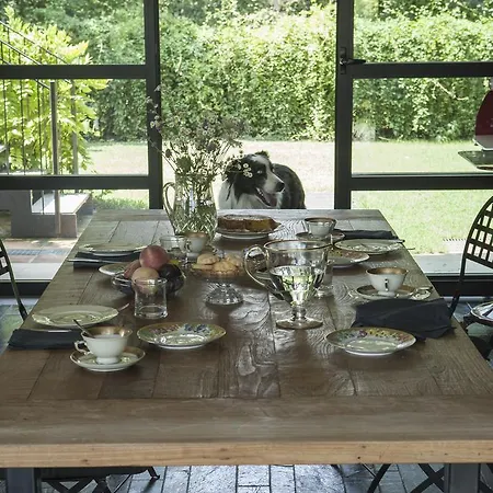 Puntodivista 4* Chieri