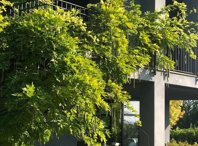 Bed and Breakfast Puntodivista Chieri