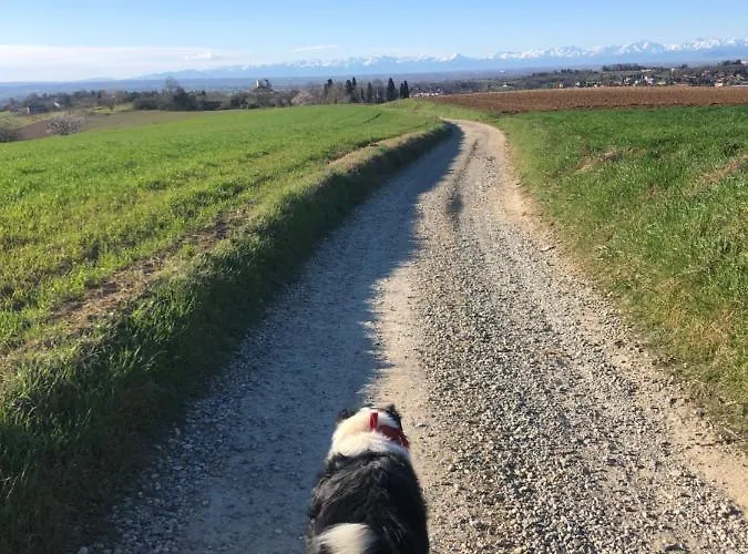 Puntodivista 4* Chieri