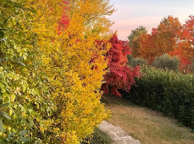 Bed and Breakfast Puntodivista 4*