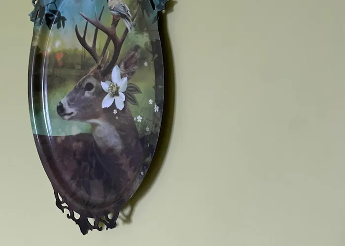 Puntodivista Bed and Breakfast Chieri