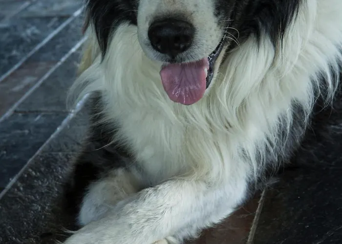 Bed and Breakfast Puntodivista 4*