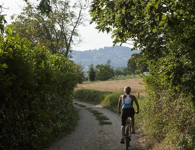 Bed and Breakfast Puntodivista 4*